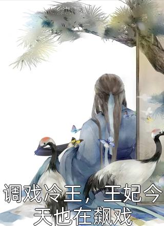 完整作品阅读风水龙婿